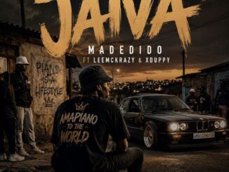 Madedido Jaiva Mp3 Download