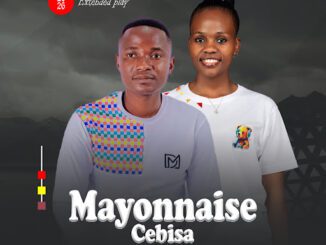 Mayonnaise Cebisa If I Were A Boy Mp3 Download