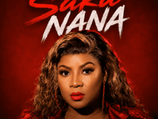 Mizz Dee Saka Nana Mp3 Download