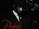 Mr NT Paulina Mp3 Download