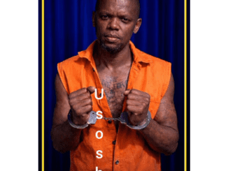 Nhlanhla Mhlongo Usosha Mp3 Download