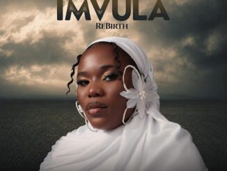 Nobuhle Izintaba Mp3 Download