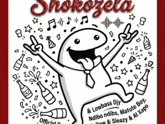 Officixl RSA Shokozela Mp3 Download