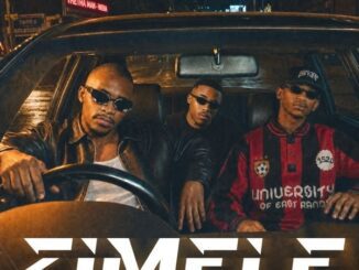 Optimist Music ZA Zimele Mp3 Download