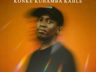 TheBuu Konke Kuhamba Kahle Mp3 Download