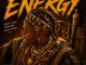 49TheAnalyzer Energy THE iNTRO PACK EP Download