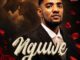 Ace Shaun Nguwe Mp3 Download