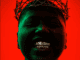 Chlé Thando Lwakho Mp3 Download