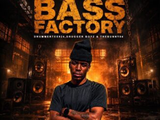 DrummeRTee924 The Bass Factory Mp3 Download