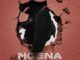 Fake'Well Ngena Ngena Mp3 Download