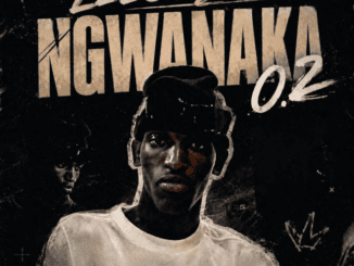 Leeco sa Ngwanaka 0.2 Mp3 Download