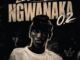 Leeco sa Ngwanaka 0.2 Mp3 Download