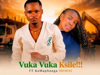 Location PK Vuka Vuka Ksile Remix Mp3 Download