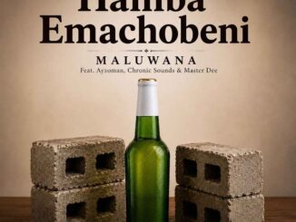 Maluwana Hamba Emachobeni Mp3 Download