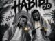 Mbuxx Habibi 2.0 AmaZaiZai Mp3 Download