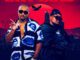 Muvo De Icon Sky Bird Mp3 Download