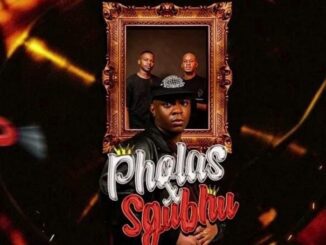 Ndibo Ndibs Pholas x Sgubhu Mp3 Download