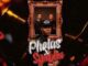 Ndibo Ndibs Pholas x Sgubhu Mp3 Download