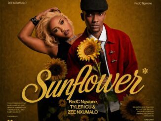 RedC Ngwane Sunflower Mp3 Download