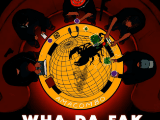 Sthipla RSA Wha Da Fak Amacombo Mp3 Download