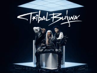 StokieNChilli Tribal Bujwa Mp3 Download