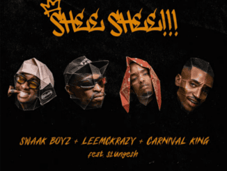 Swaak Boyz SHEE SHEE!!! Mp3 Download