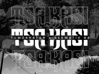 Tumzanator Project 32 Mp3 Download