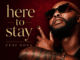 Vusi Nova Here To Stay Album Download