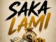 Amaqhawe Saka Lami Mp3 Download