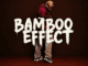 Biggie SA Bambo Effect Album Download