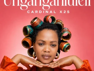 Cardinal X25 Ungangahluleli Mp3 Download