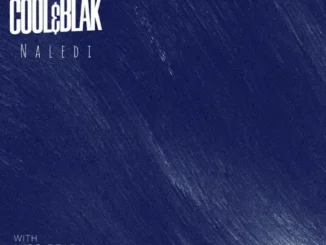 Cool&Blak Naledi Mp3 Download