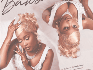 DJ Tshegu Bawo Mp3 Download