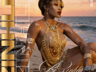 DJ Zinhle Uthando Mp3 Download