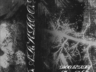 DooBerry DarkRoom Mp3 Download
