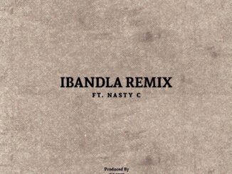 Emtee Ibandla Remix Mp3 Download