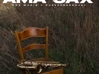 Fns MusiQ Amasax Mp3 Download