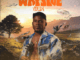 Givem Tyler Litch Way Side Violin Mp3 Download