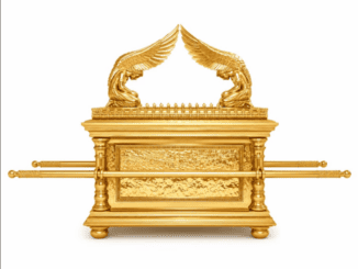 Gron Vikela Mp3 Download