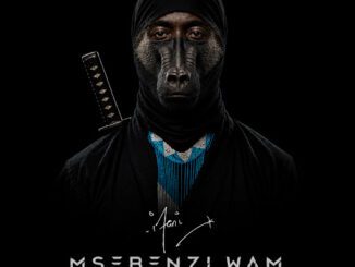 Ifani Msebenzi Wam Album Download