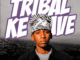 Kayvin_Jazz Tribal Ke Wave Mp3 Download