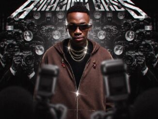 Lowbass Djy Impilo Mp3 Download