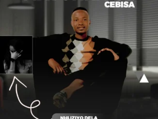 Mayonnaise Cebisa Nhliziyo Dela Mp3 Download