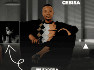 Mayonnaise Cebisa Nhliziyo Dela Mp3 Download