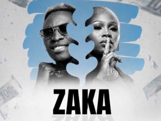 Memie Zaka Mp3 Download