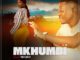 Mkhumbi Ngoth'Izinqa Zakhe EP Download