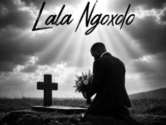 Shino Kikai Lala Ngoxolo Mp3 Download