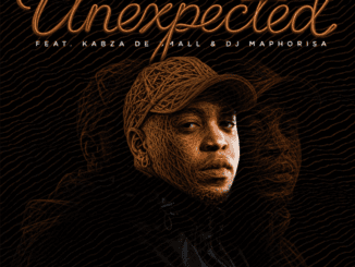 Stakev Unexpected Mp3 Download