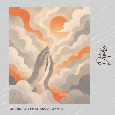 Tashinga Ditoro Mp3 Download