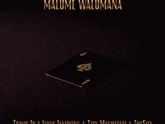 Travis Jr Malume Walumana Mp3 Download